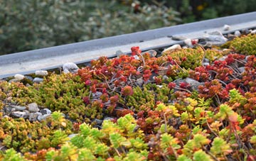 the cost of Bish Mill green roof installation
