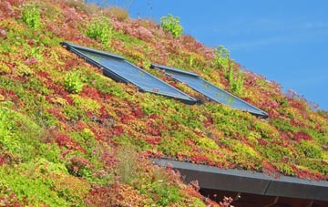 Bish Mill living roof systems
