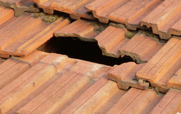 roof repair Bish Mill, Devon
