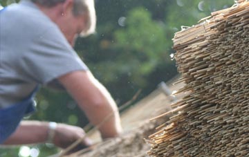 professional Bish Mill thatchers