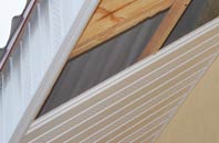rated Bish Mill soffit repair companies